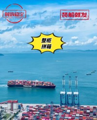 Fast Sea Freight Shipping Services