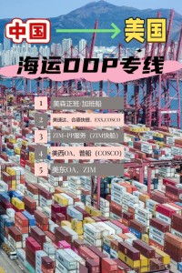 FBA Freight Forwarding from China to the United States