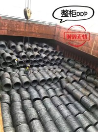 Ocean freight DDU/DDP logistics services