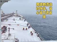 A professional Chinese sea freight forwarding DDP service